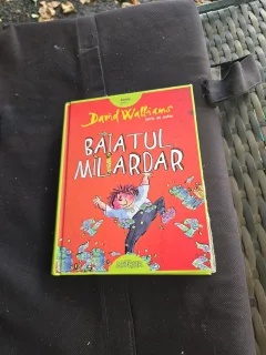 Băiatul Miliardar