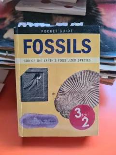 Fossils - Carl Mehling