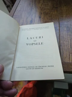 LACURI SI VOPSELE