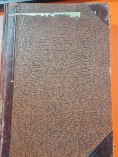 STUDII SI DOCUMENTE LITERARE, JUNIMEA - I.E. TOROUTIU