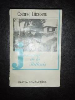 JURNALUL DE LA PALTINIS - GABRIEL LIICEANU