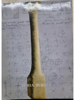 HORIA BERNEA -CODRUTA CRUCEANU - CU DEDICATIA LUI HORIA BERNEA