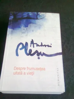 DESPRE FRUMUSETEA UITATA A VIETII - ANDREI PLESU