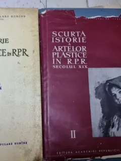SCURTA ISTORIE A ARTELOR PLASTICE IN RPR II. SECOLUL XIX Vol 1 si 2