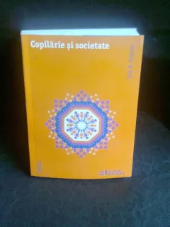 COPILARIE SI SOCIETATE - ERIK H. ERIKSON