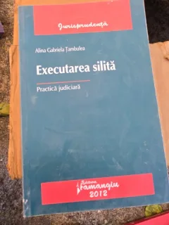EXECUTAREA SILITA - ALINA GABRIELA TAMBULEA