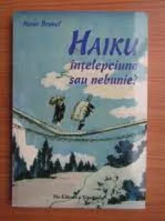 HENRI BRUNEL - HAIKU INTELEPCIUNE SAU NEBUNIE {PRO 2007 114 PAG STARE BUNA}