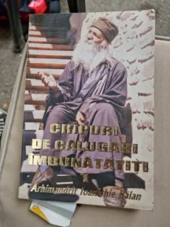 CHIPURI DE CALUGARI IMBUNATATITI - ARHIMANDRIT IOANICHIE BALAN  VOL. 1