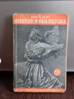 INDRUMARI IN VIATA MUZICALA-MARCEL BOTEZ