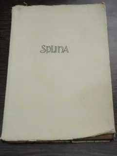 SPLINA SI BOLILE SANGELUI - ALEXANDRU POP