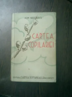 Cartea copilariei - Ion Negoescu