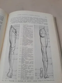 Chirurgia operatorie si anatomia topografica - V. N. Sevcunenco si A. N. Maximencov