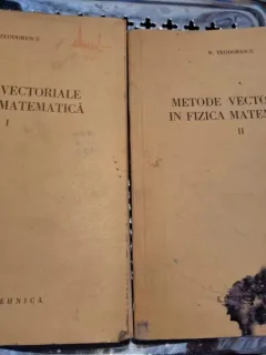 Metode vectoriale in fizica matematica (Vol.I si II) - N. Teodorescu