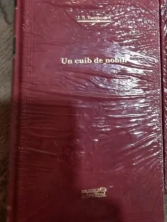 Un cuib de nobili - I. S. Turgheniev