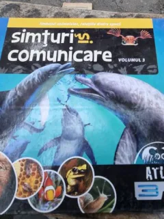 Simturi si comunicare volumul 3 - Ilona Bagoly
