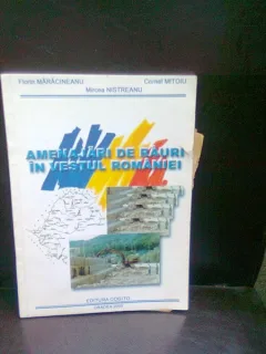 AMENAJARI DE RAURI IN VESTUL ROMANIEI - FLORIN MARACINEANU