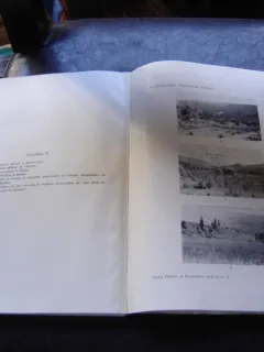 PIEMONTUL CINDESTI - D. PARASCHIV
