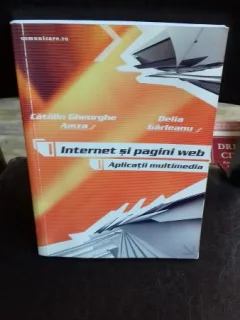 INTERNET SI PAGINI WEB. APLICATII MULTIMEDIA - CATALIN GHEORGHE AMZA