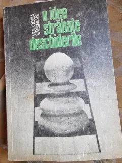 O IDEE STRABATE DESCHIDERILE - VOLODEA VAISMAN