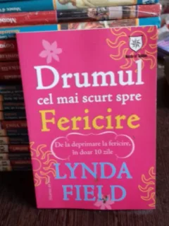 DRUMUL CEL MAI SCURT SPRE FERICIRE - LYNDA FIELD