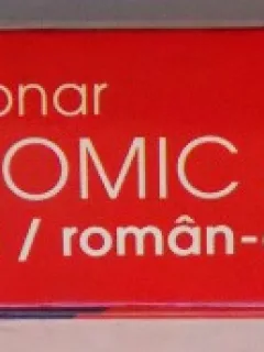 DICTIONAR ECONOMIC ENGLEZ-ROMAN/ROMAN-ENGLEZ de VIOLETA NASTASESCU , 2007 Cod: UNU90347