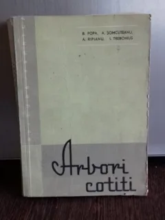 ARBORI COTITI - B. POPA