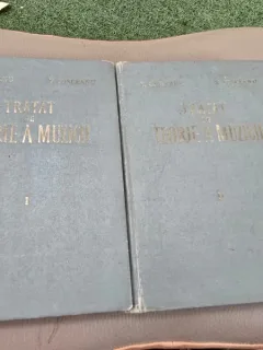 TRATAT DE TEORIE A MUZICII - V. GIULEANU SI V. IIUSCEANU VOL.I- II - BUC. 1963