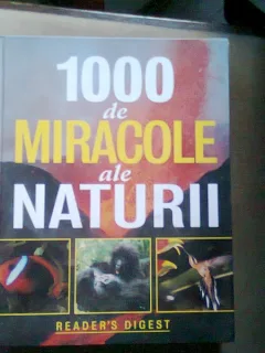1000 DE MIRACOLE ALE NATURII