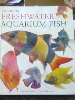 Focus on freshwater aquarium fish - Geoff Rogers  (Concentrați-vă pe peștii acvatici din apă dulce)