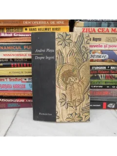 Despre ingeri , Andrei Plesu