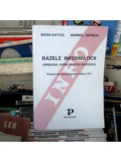 BAZELE INFORMATICII , Maria Ratyus