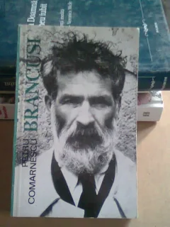 BRANCUSI - PETRU COMARNESCU