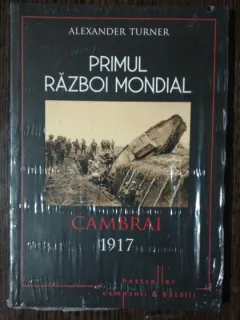 PRIMUL RAZBOI MONDIAL CAMBRAI 1917 - ALEXANDER TURNER