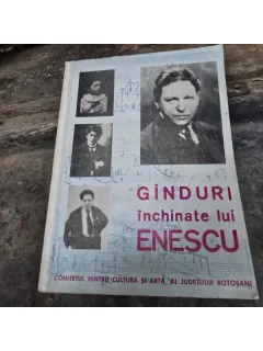 GANDURI INCHINATE LUI ENESCU - VICTOR CRACIUN /PETRE CODREA