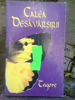 CALEA DESAVARSIRII - TAGORE