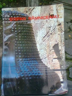 STEFAN RAMNICEANU - FERECATURA ( PICTURA-OBIECT )   ALBUM