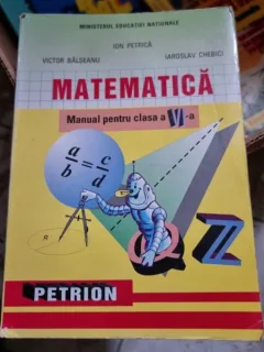 MATEMATICA MANUAL PENTRU CLASA A VI-A - ION PETRICA