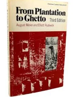 FROM PLANTATION TO GHETTO - AUGUST MEIER  (CARTE IN LIMBA ENGLEZA)