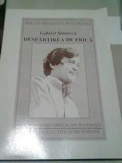 DESPARTIREA DE FRICA - GABRIEL STANESCU