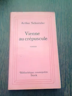 VIENNE AU CREPUSCULE - ARTHUR SCHNITZER  (CARTE IN LIMBA FRANCEZA)