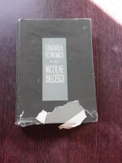 GANDIREA ECONOMICA A LUI NICOLAE BALCESCU - SULTANA SUTA SELEJEAN