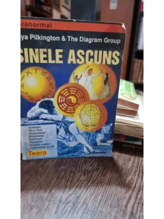 SINELE ASCUNS - MAYA PILKINGTON