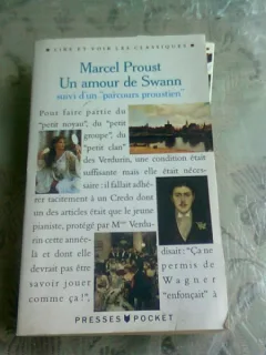 UN AMOUR DE SWANN - MARCEL PROUST   (CARTE IN LIMBA FRANCEZA)