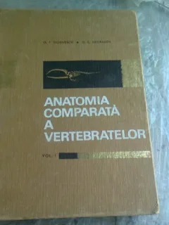 ANATOMIA COMPARATA A VERTEBRATELOR - G.T. DORNESCU   VOL.I