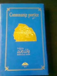 CONSONANTE POETICE