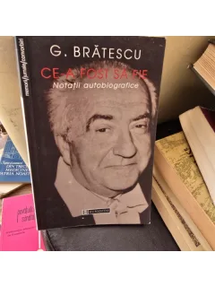 Ce-a fost sa fie , G. Bratescu