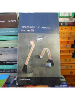 Frumosul dincolo de arta , Gheorghe Achitei
