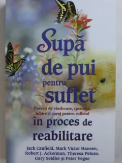 SUPA DE PUI PENTRU SUFLET - POVESTI DE VINDECARE , SPERANTA , IUBIRE SI CURAJ PENTRU SUFLETUL IN PROCES DE REABILITARE DE JACK CANFIELD ...PETER VEGSO , 2013