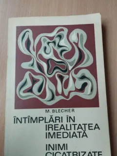 Intamplari in Irealitatea imediata, Inimi cicatrizate , M. Blecher , 1970