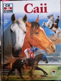 CAII - KERSTIN NEUMANN